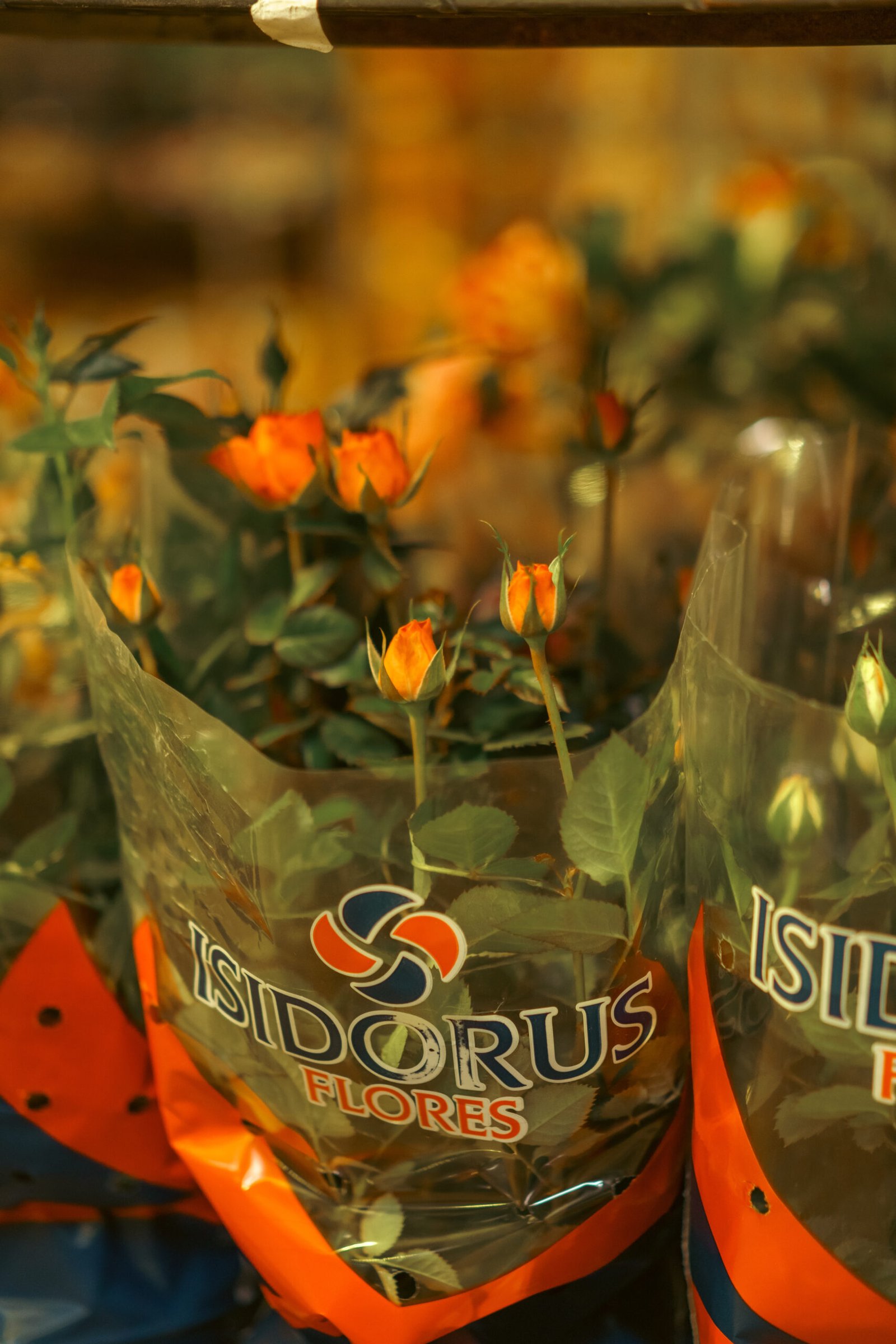 Image gallery marquee