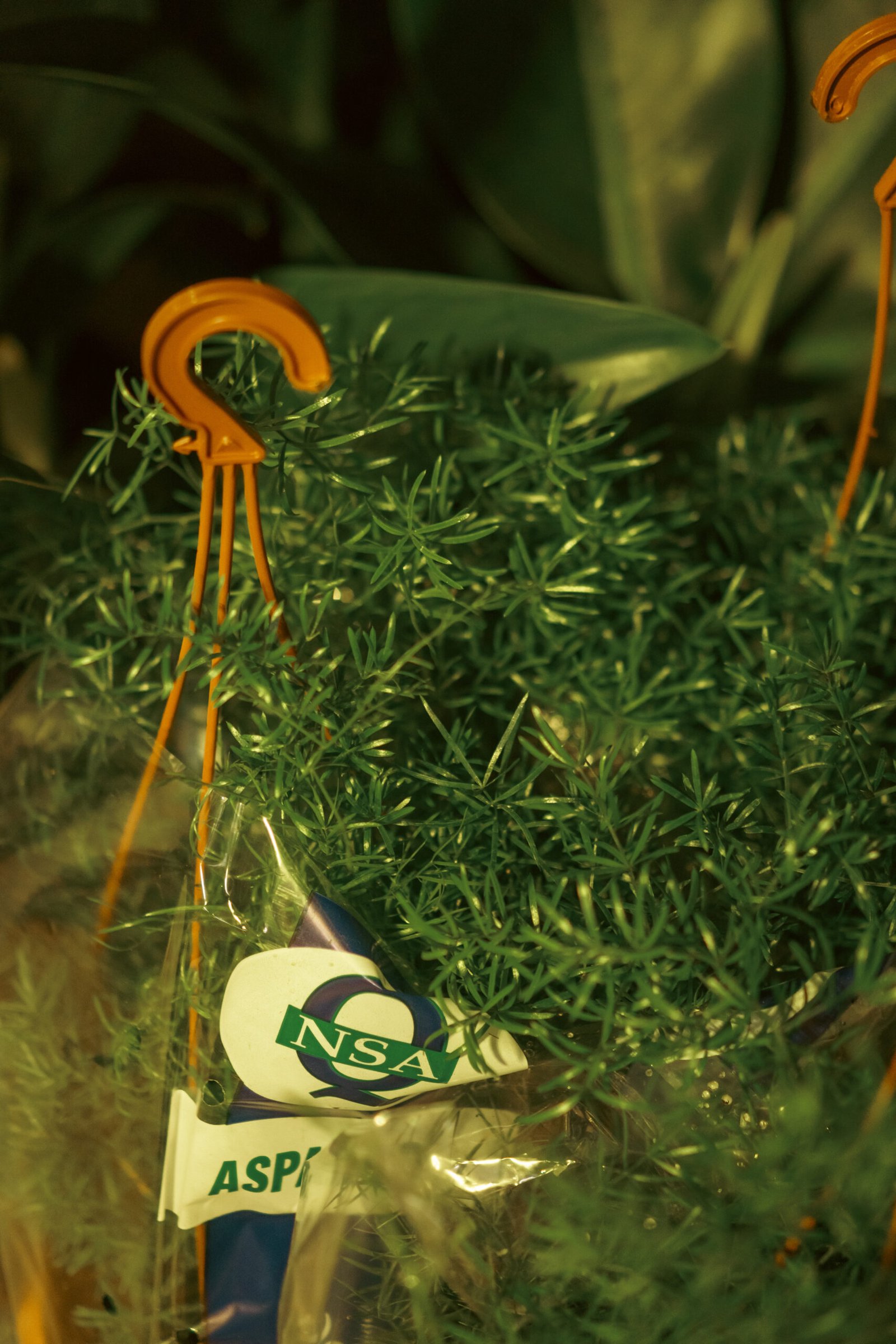 Image gallery marquee