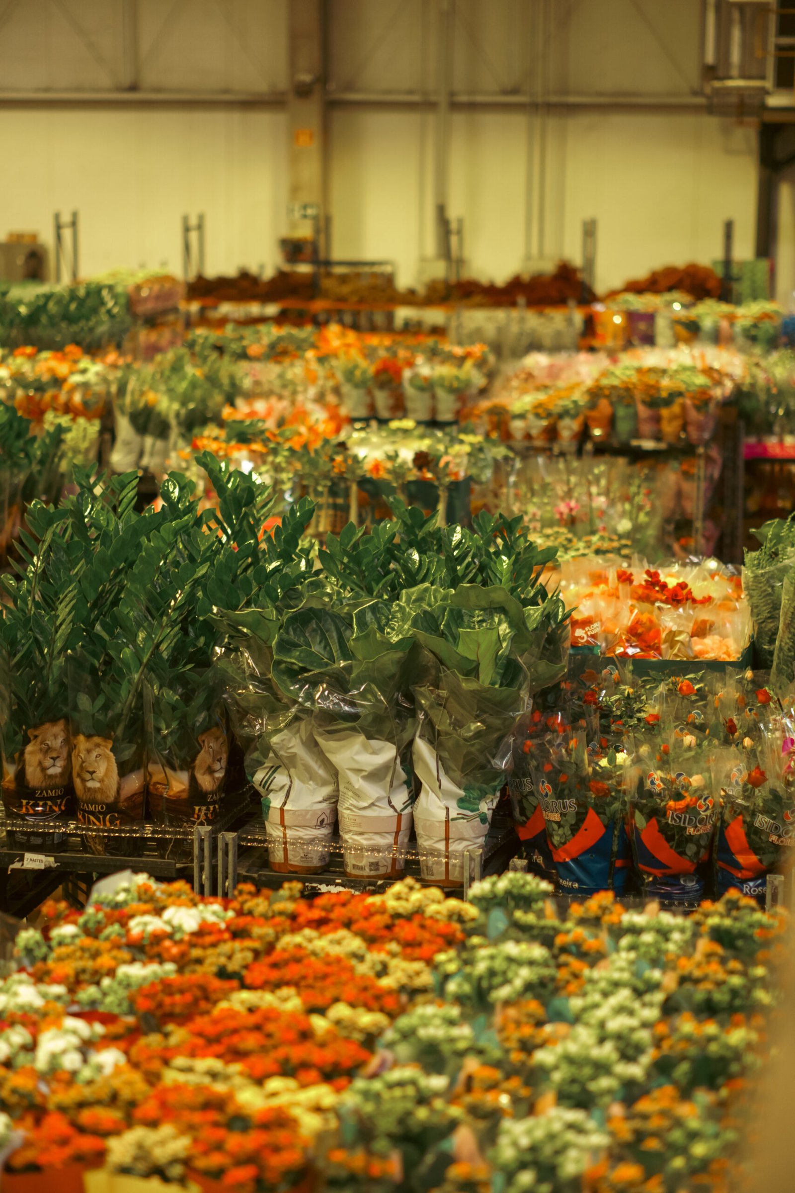 Image gallery marquee